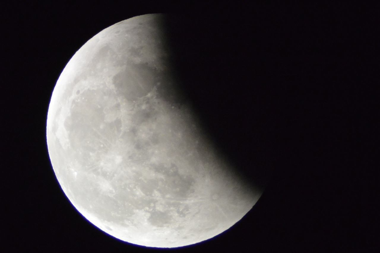 DSC_0704.JPG